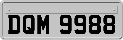 DQM9988