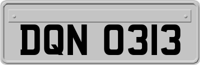 DQN0313