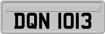 DQN1013