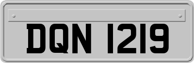 DQN1219