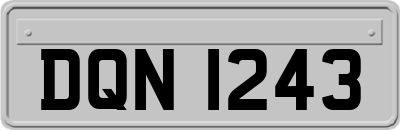 DQN1243