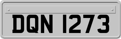 DQN1273