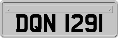 DQN1291
