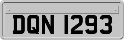 DQN1293