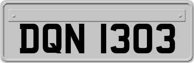 DQN1303