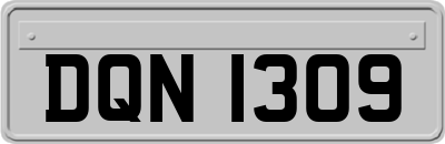 DQN1309