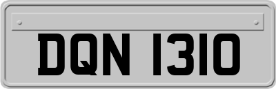 DQN1310