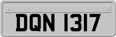 DQN1317