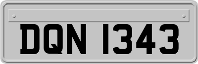 DQN1343