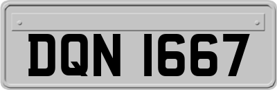 DQN1667
