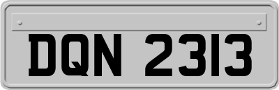 DQN2313