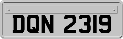 DQN2319