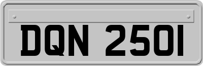 DQN2501