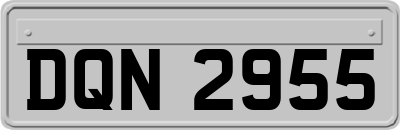 DQN2955