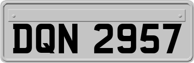 DQN2957