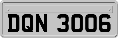 DQN3006