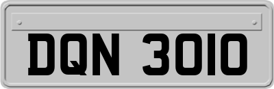 DQN3010