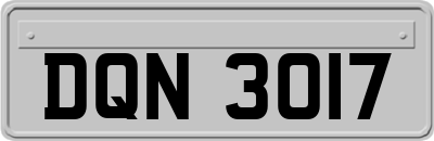 DQN3017