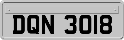 DQN3018