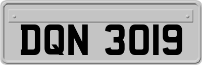 DQN3019