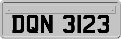 DQN3123