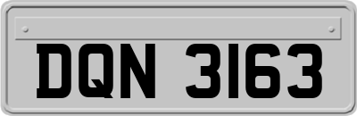 DQN3163