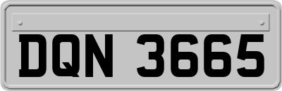 DQN3665