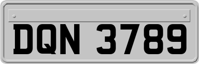 DQN3789