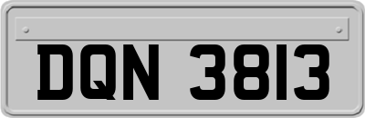 DQN3813