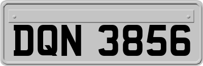 DQN3856