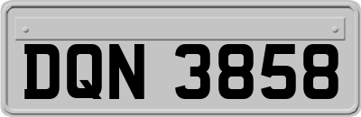 DQN3858