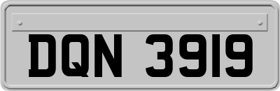 DQN3919