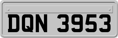DQN3953