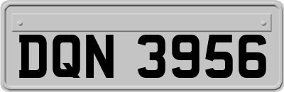 DQN3956