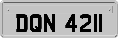 DQN4211