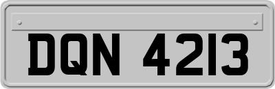 DQN4213