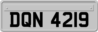 DQN4219