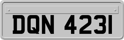 DQN4231