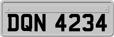 DQN4234