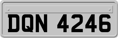 DQN4246