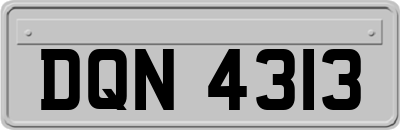 DQN4313