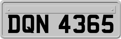 DQN4365
