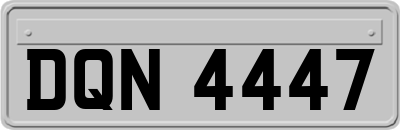 DQN4447