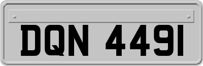 DQN4491