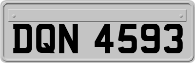 DQN4593