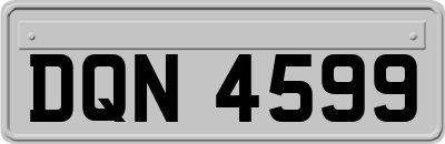 DQN4599