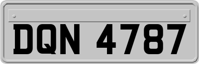 DQN4787