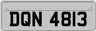 DQN4813