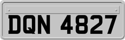 DQN4827