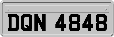 DQN4848